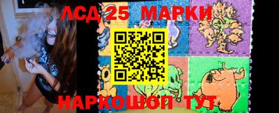 индика Ярославль