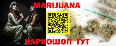 индика Ярославль