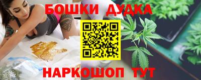 индика Ярославль