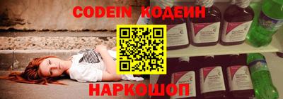 индика Ярославль
