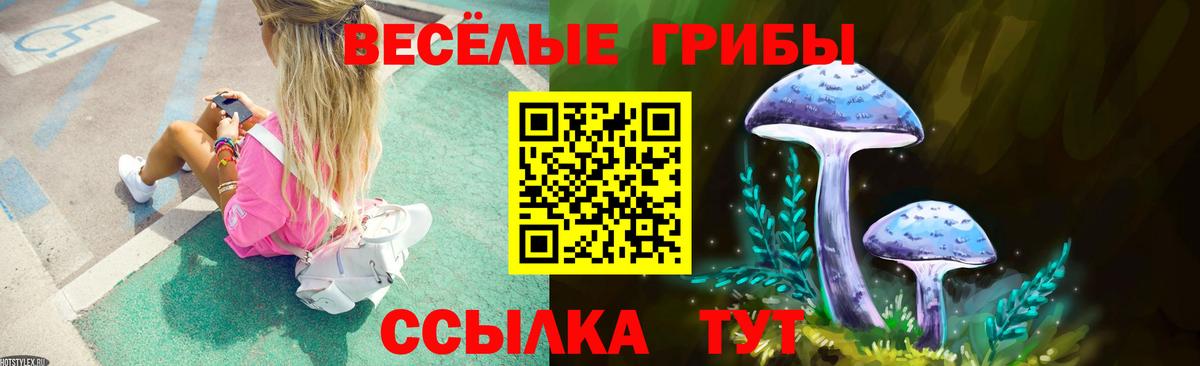 Псилоцибиновые грибы Psilocybe  Вход с VPN  Галлюциногенные грибы Magic Shrooms  цена наркотик  Заводоуковск 